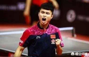 何卓佳VS索尔佳