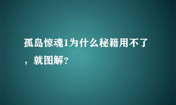 孤岛惊魂1为什么秘籍用不了，就图解？