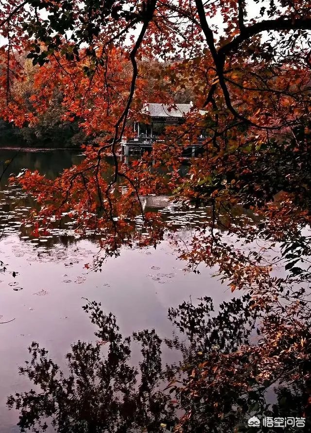 南京有哪些地方值得摄影师去拍照?