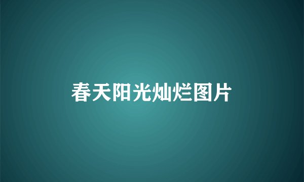 春天阳光灿烂图片