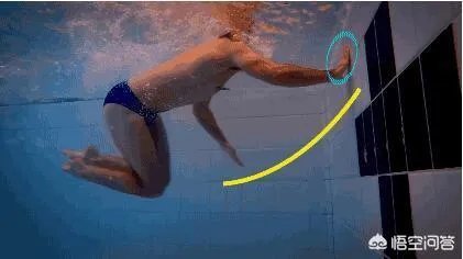 游泳掉头技巧图解？