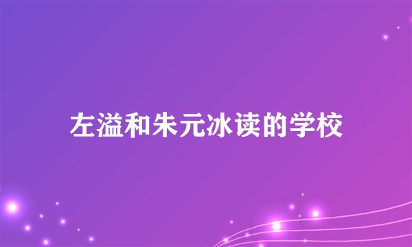 左溢和朱元冰读的学校