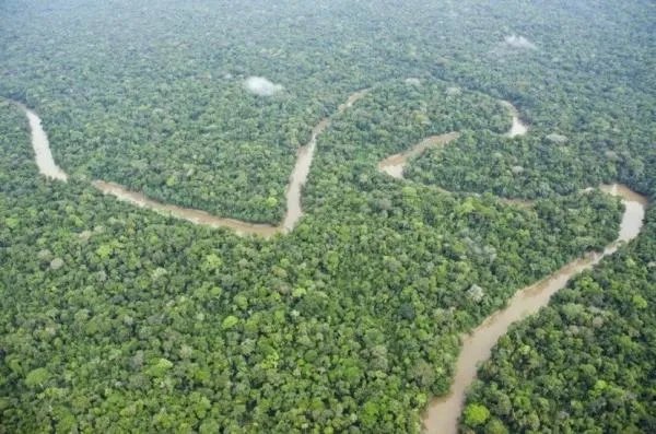 亚马逊的大火依旧燃烧，雨林大火跟我们中国人到底有没有关系？