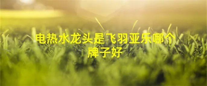 电热水龙头是飞羽亚乐哪个牌子好
