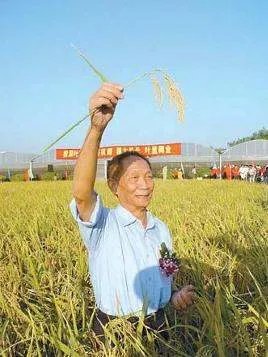 袁隆平有儿子吗?