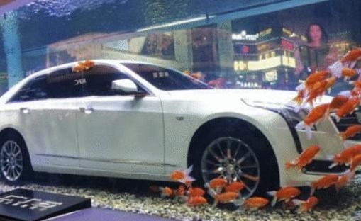 开凯迪拉克追高铁女孩这个故事是真的吗？