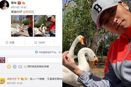 谢霆锋晒与鹅自拍胡茬抢镜 晒开年饭穿搭休闲