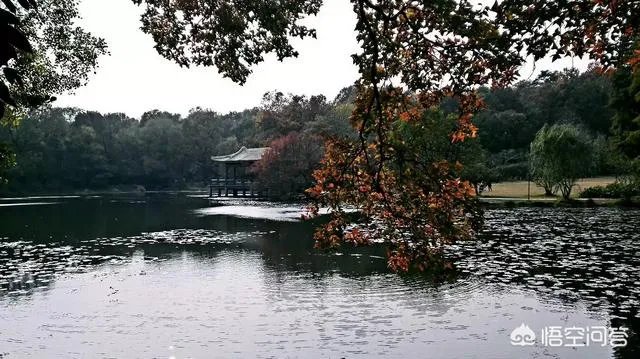 南京有哪些地方值得摄影师去拍照?