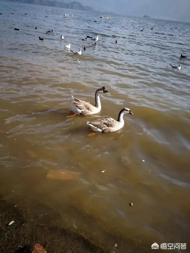 阳江给你的最大印象是什么?