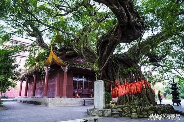 清远两日自驾游攻略