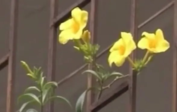 山西1岁男童打点滴后死亡，事件的后续有何最新进展？