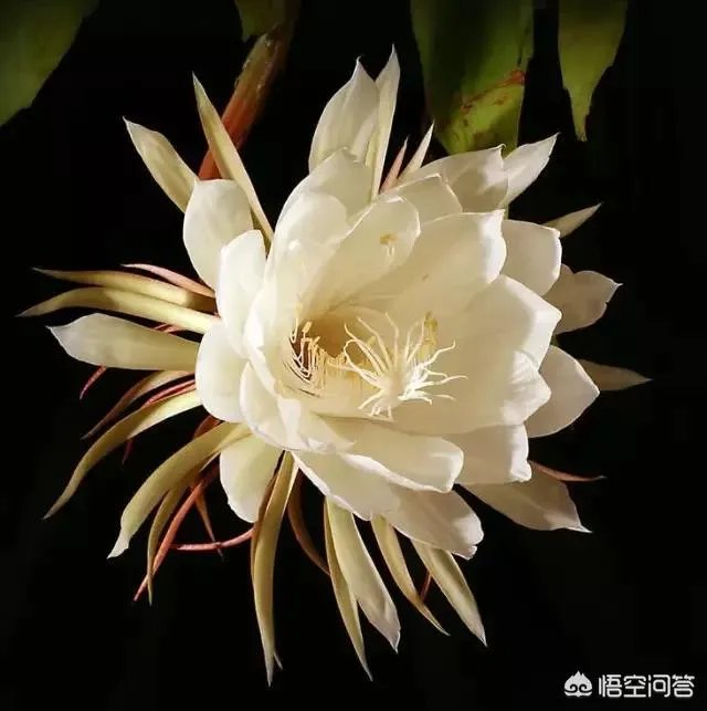 你人生中经历过最难接受的事是什么？