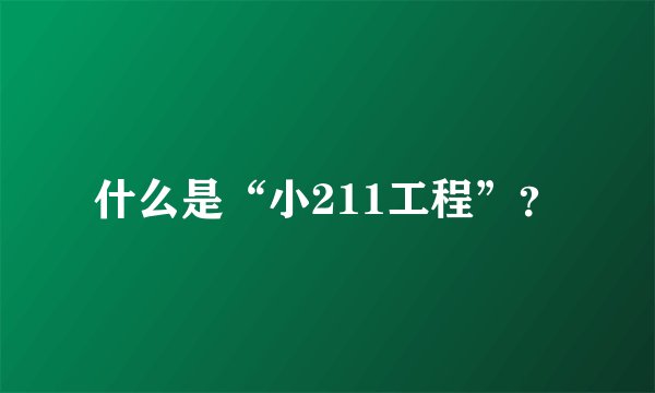 什么是“小211工程”？