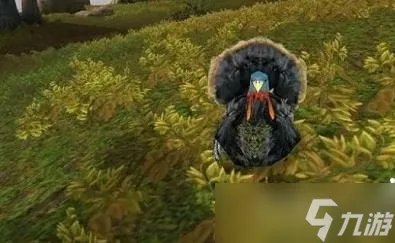 魔兽世界野生火鸡在哪抓 2022感恩节火鸡位置分享