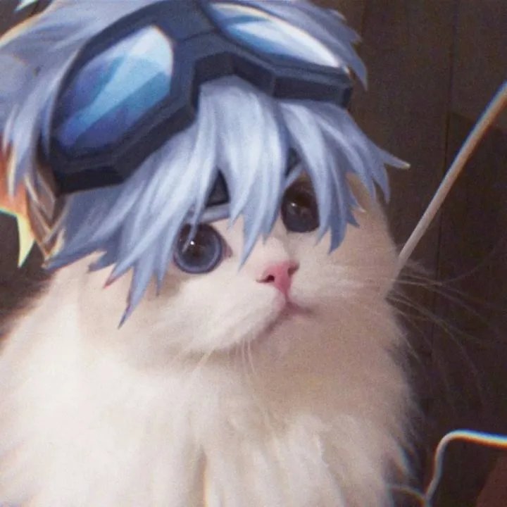 《王者荣耀》猫咪接头头像大全