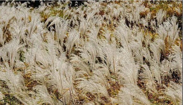 建昌的龙潭大峡谷好玩吗？