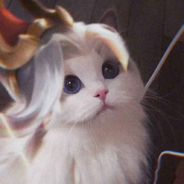 《王者荣耀》猫咪接头头像大全