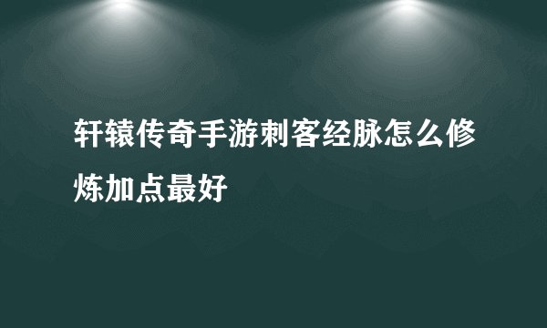 轩辕传奇手游刺客经脉怎么修炼加点最好