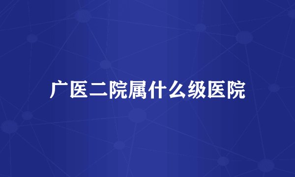 广医二院属什么级医院