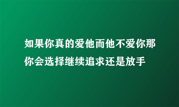 如果你真的爱他而他不爱你那你会选择继续追求还是放手