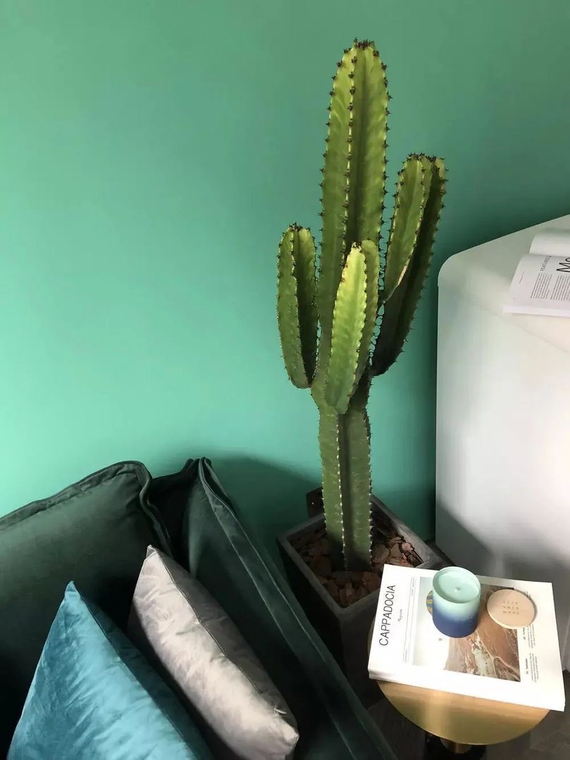 36㎡轻奢复古Loft,90后小仙女的秘密花园