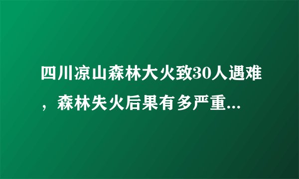 四川凉山森林大火致30人遇难，森林失火后果有多严重？如何预防与自救？