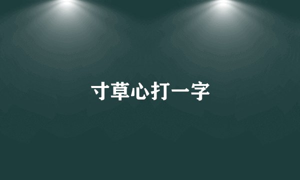 寸草心打一字