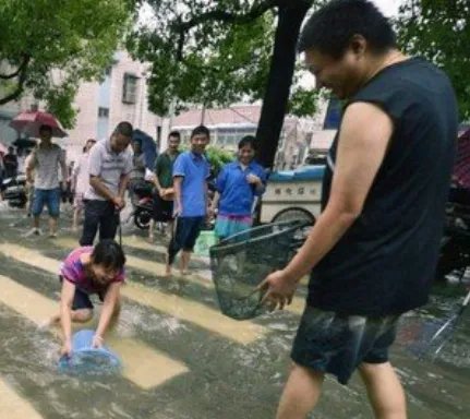 贵州暴雨路被淹，市民街头撒网捕鱼，这些鱼是从哪里的？