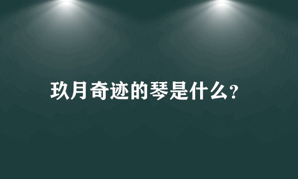 玖月奇迹的琴是什么?