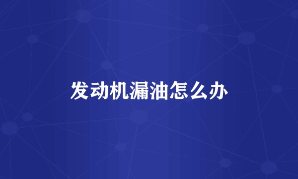 发动机漏油怎么办