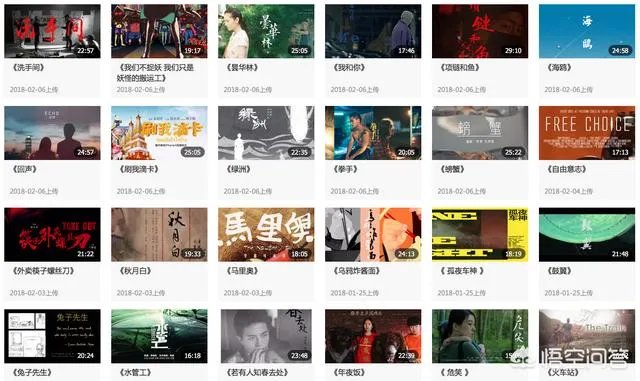 “香蕉新导演掘地计划”诞生7个月王思聪交上了一份怎样的答卷？