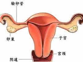 子宫癌是什么情况？