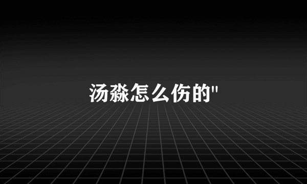 汤淼怎么伤的