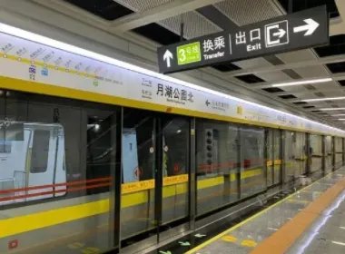 英国一男子在地铁打骂其他乘客被捕，他为何会有如此举动？