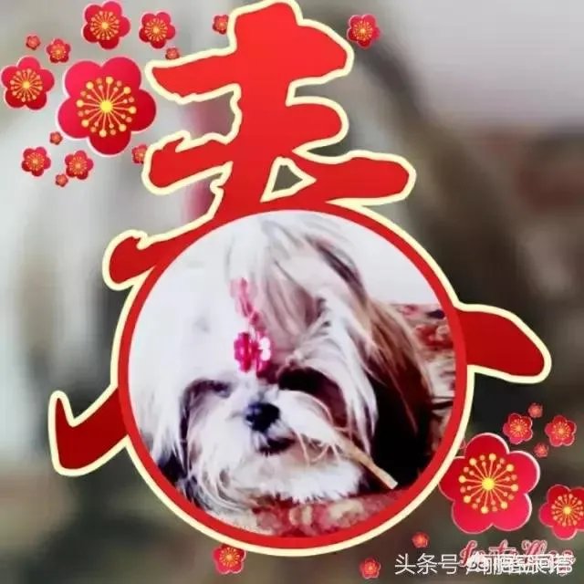 上脸。欢声笑语货新年，喜聚一堂庆新春。秋下联？