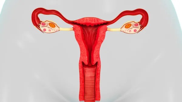 卵巢的保养方法