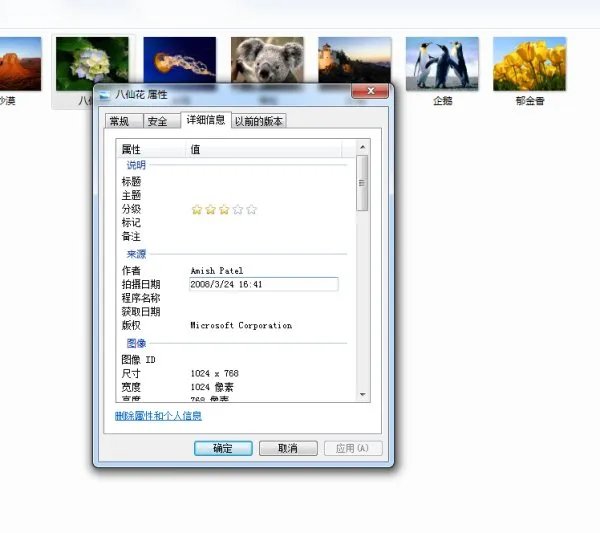 XP系统鼠标放在照片上的照相时间怎么修改
