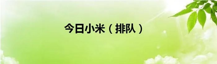 今日小米（排队）