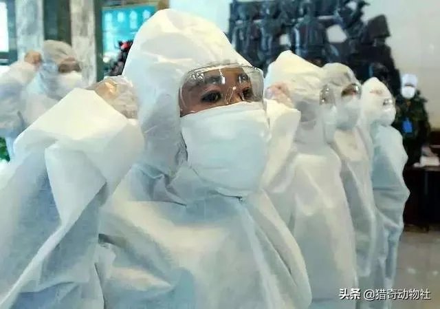 人和动物最大的相同点是什么？