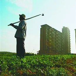 关于完善设施农用地管理有关问题通知的解读