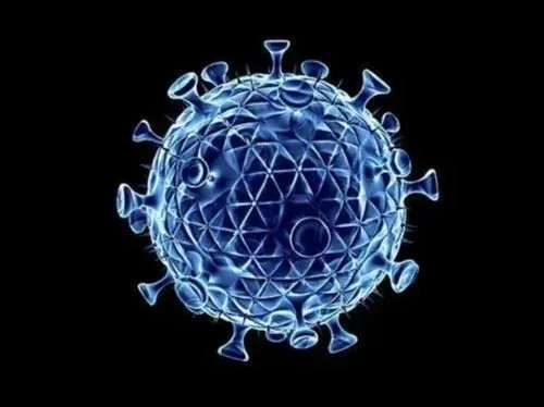 宁波出现浙江本轮疫情首个重症病例，这例重症病例的详情是怎样的？