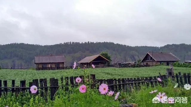 漠河冬天去还是夏天去