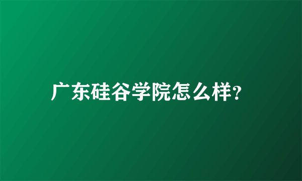 广东硅谷学院怎么样？