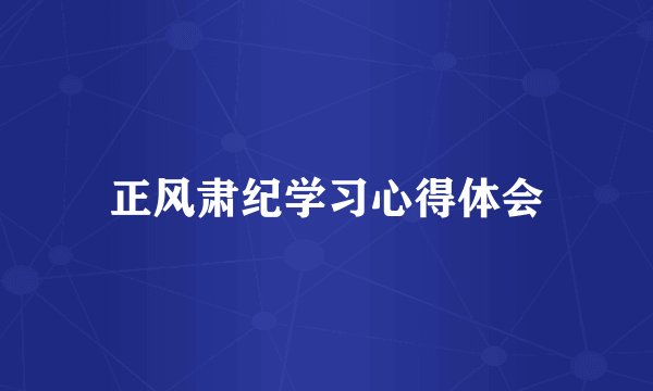 正风肃纪学习心得体会