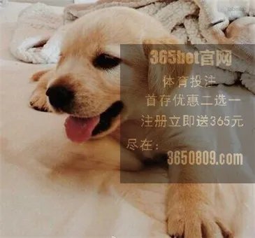 快船队1号队员是谁？