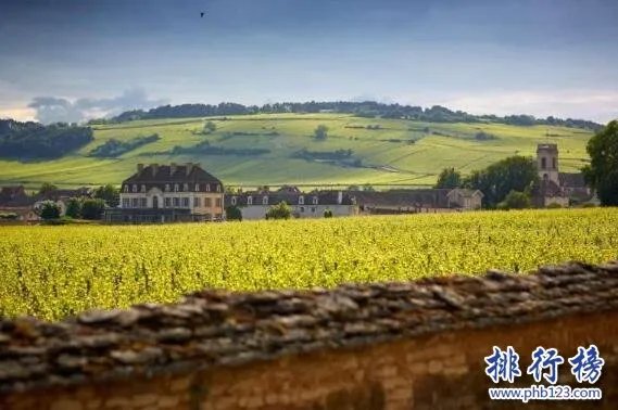 白葡萄酒十大排名，白葡萄酒什么牌子好