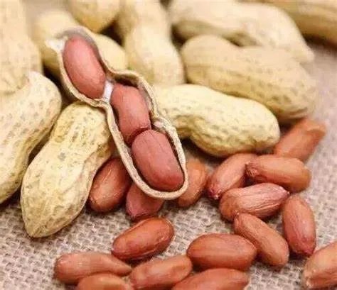 承包商收花生时遭数百村民哄抢，当地警方对此是何态度？