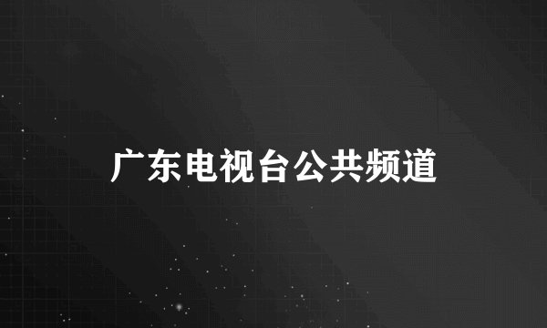 广东电视台公共频道