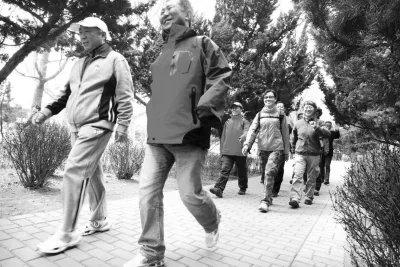 盘景猫的是否与日本人有关