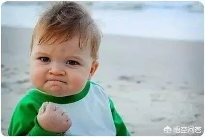 应届毕业在哪儿投简历